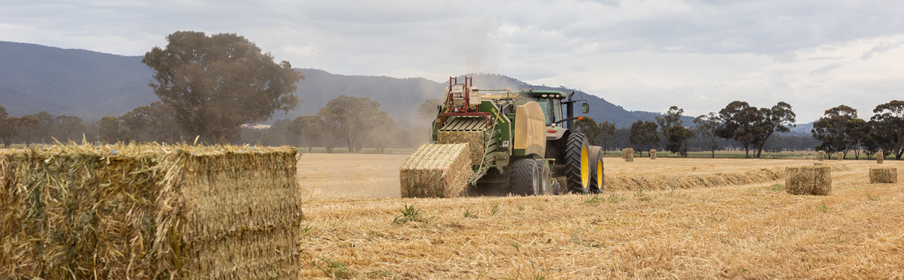 AgriFutures_Chrisela_Estate_Export_Hay_20 1